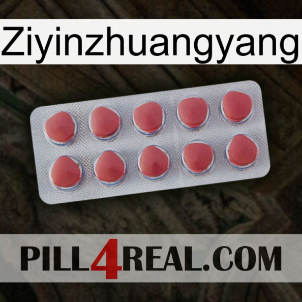 Ziyinzhuangyang 18